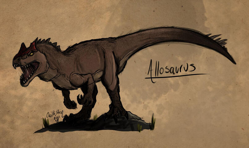 Colored Sketch Allosaurus